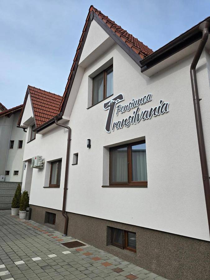 Pensiunea Transilvania in Sibiu, Carpates