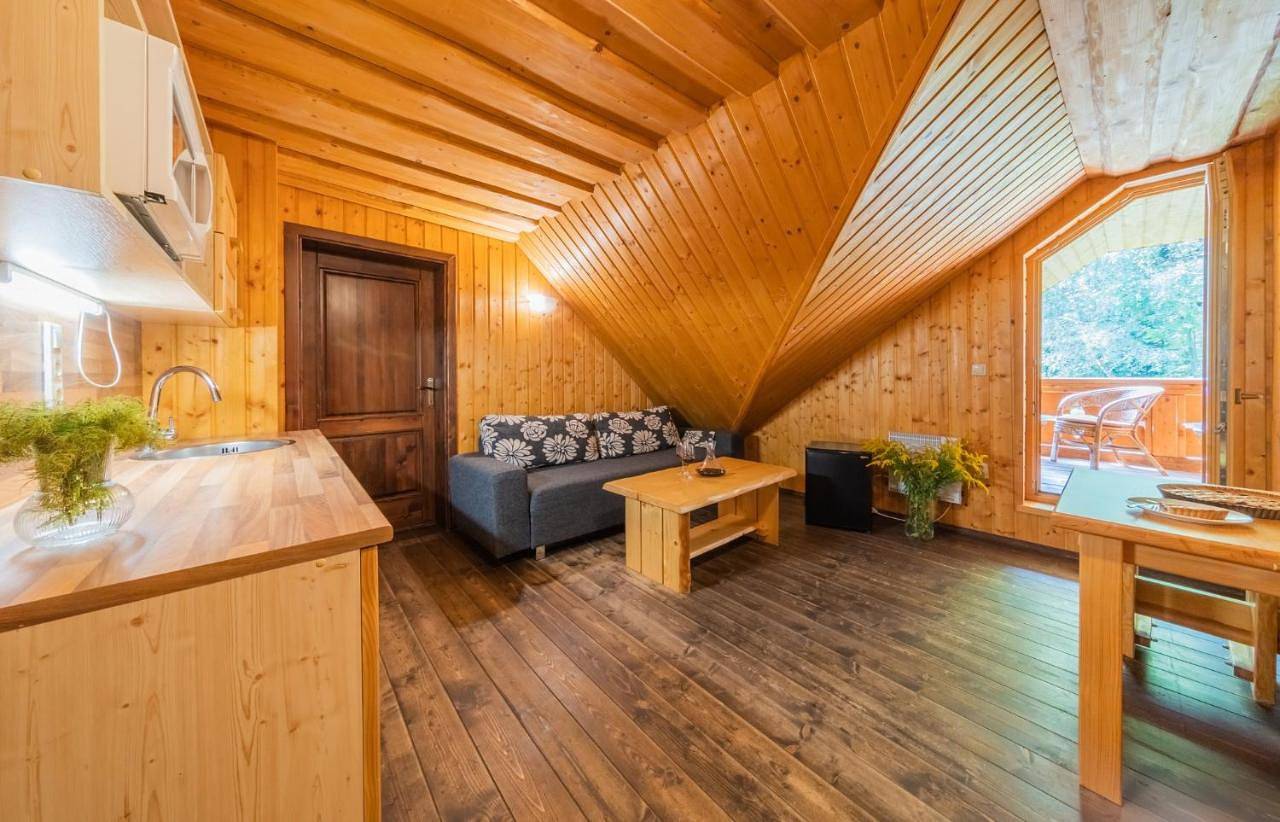 Deluxe Suite in Central Slovakia