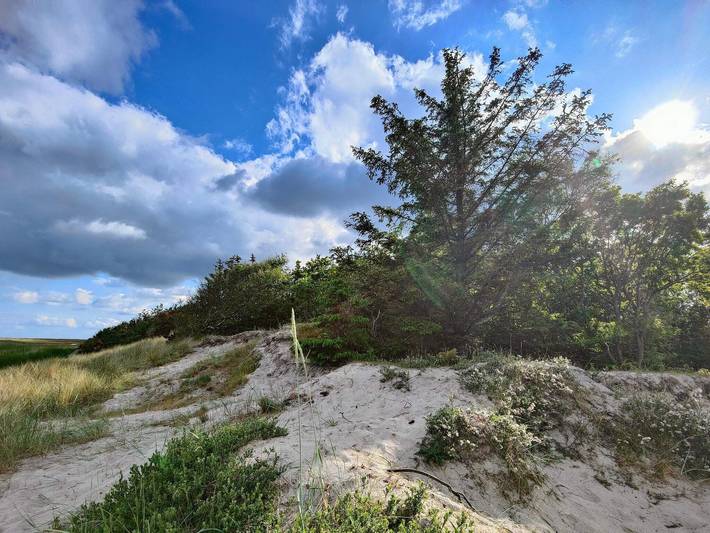 Ferienhaus für 6 Personen, mit Sauna und Garten sowie Whirlpool und Terrasse, kinderfreundlich in Binderup Strand - 2
