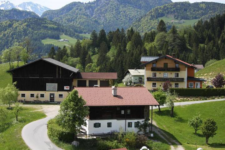 Ferienhaus für 10 Personen, mit Garten und Ausblick in Abtenau - 4