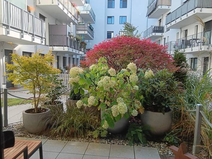 Ferienwohnung für 3 Personen, mit Balkon und Terrasse sowie Garten und Ausblick in Stadtmitte Rostock - 4