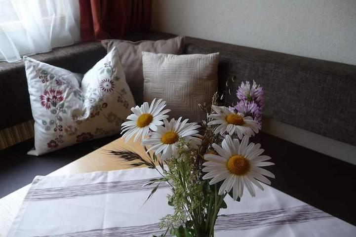 Appartement 40m² , 2 Schlafzimmer, 1x Dusche/Wc - Steinwenderhof in Rohrmoos, Schladming-Dachstein