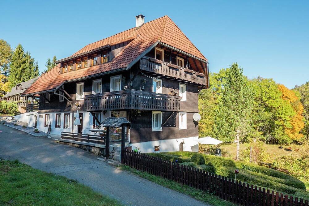 Ganze Wohnung, Forsthauswohnung im Schwarzwald in Dachsberg, Südschwarzwald