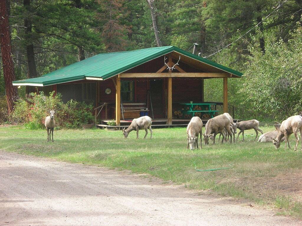 Forest Service Type Cabins 30 Meilen außerhalb von Missoula-- in Granite County