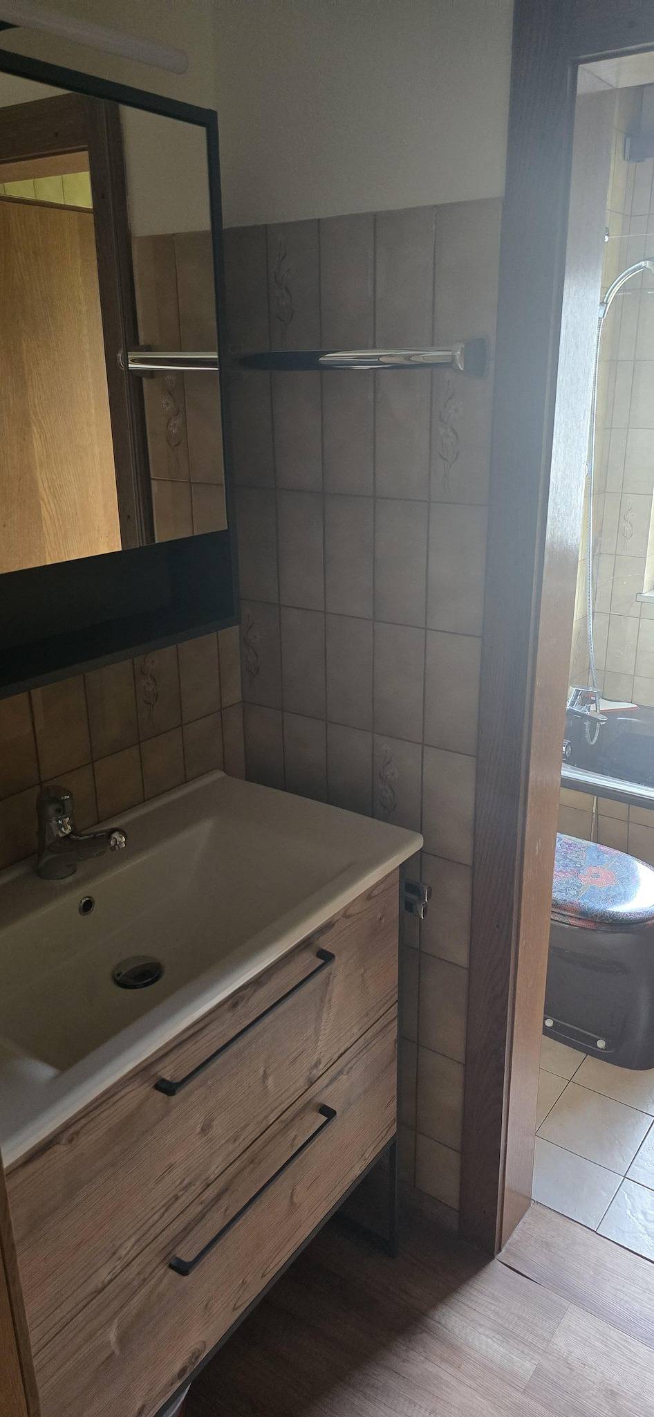 Ganze Ferienwohnung, Appartement/Fewo, Badewanne, gartenseitig in Eben im Pongau, Tennengau