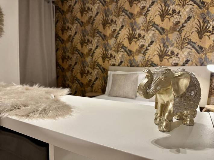 Gîte pour 8 personnes, avec terrasse et vue à Bron - 4