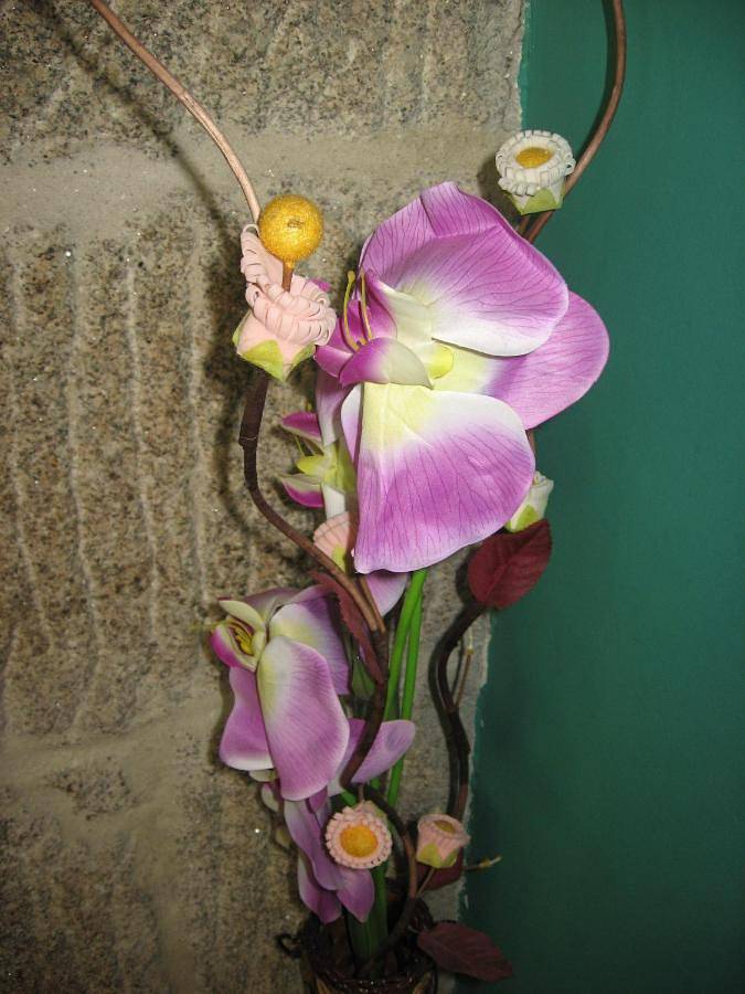 Maison d’hôte pour 3 personnes, avec terrasse ainsi que vue et jardin à Vigo - 4