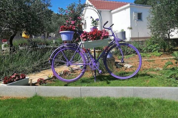 Ferienhaus für 4 Personen, mit Garten, mit Haustier - 1