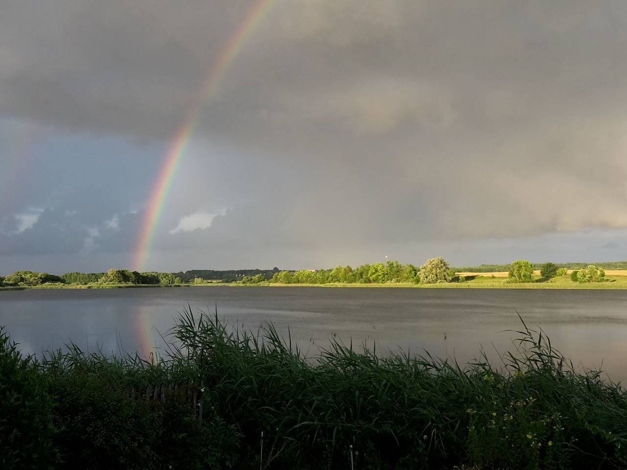 Ganze Wohnung, Seeadler in Wanzka, Blankensee (Mecklenburg)