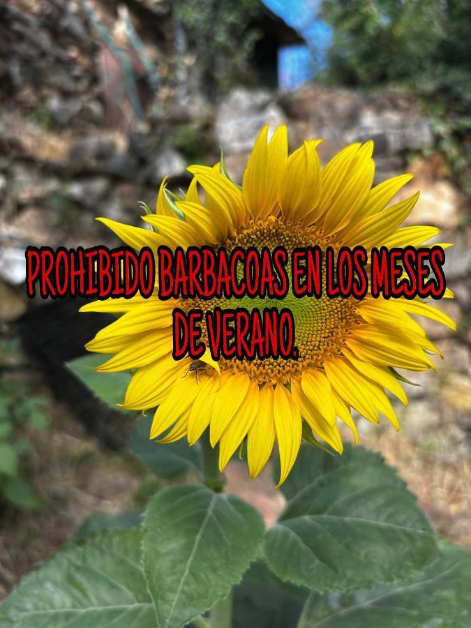 Casa rural para 6 personas, con vistas además de piscina y jardín, Se admiten mascotas en Provincia de Guadalajara - 2