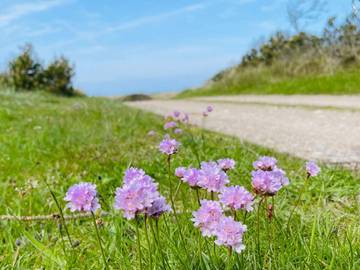 Ferieudlejning til 10 Personer i Fjerritslev, Nordwestjütland, Billede 2