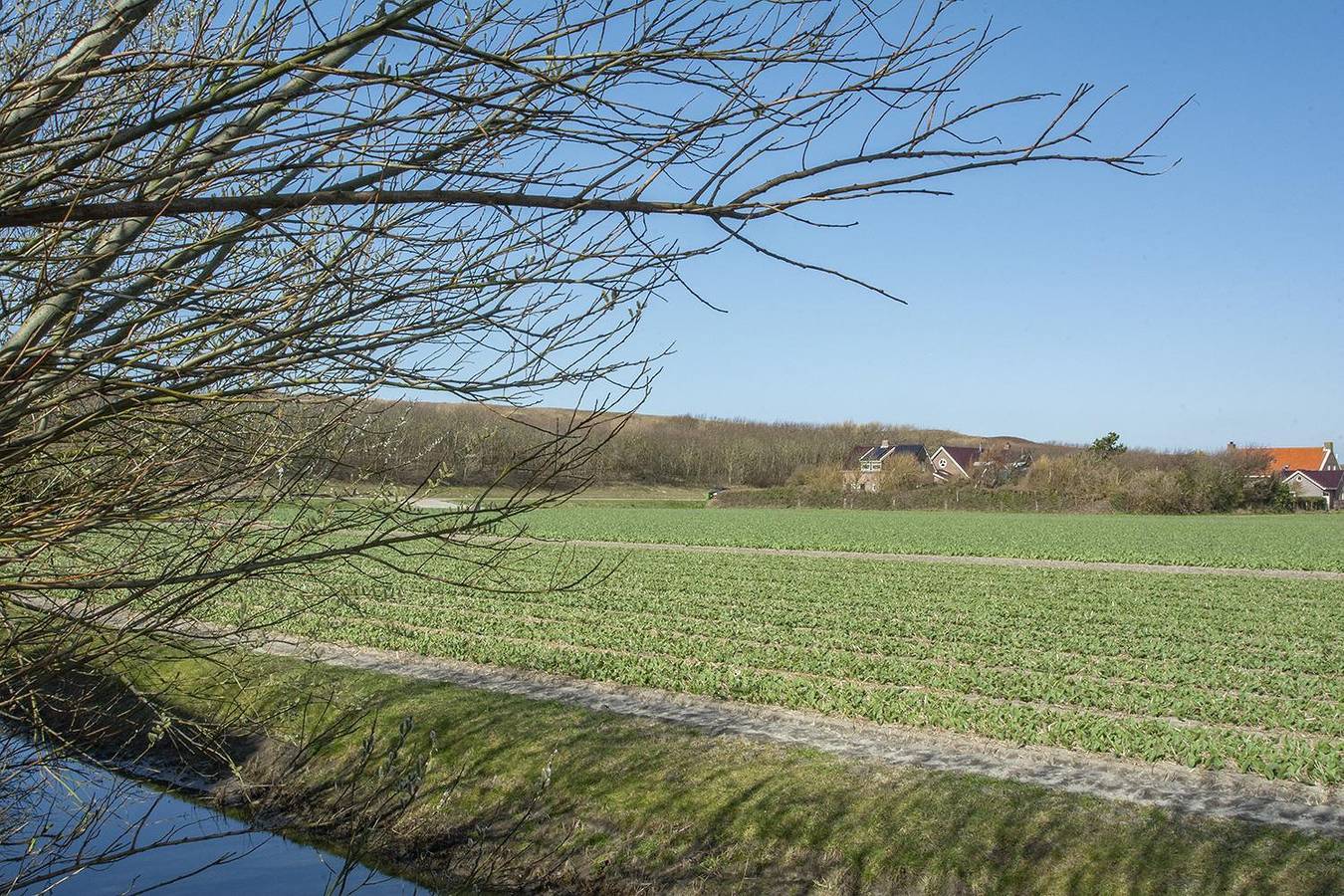 Callinghe Vakanties — Résidence Juliana 53 in Julianadorp aan Zee, Julianadorp