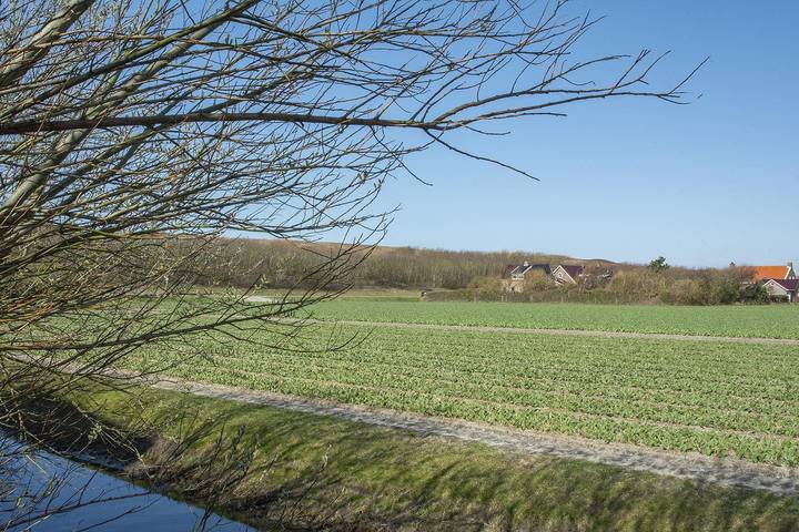 Ferienhaus für 4 Personen, mit Balkon/Terrasse und Balkon in Noord-Holland - Nordseeküste - 3