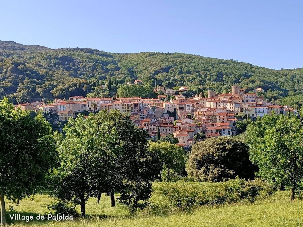 Chez Suzanne- Appartement Vallespir in Amélie-les-Bains-Palalda, Région de Céret