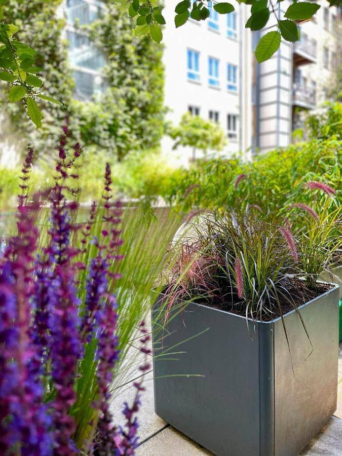 Hotel für 2 Personen, mit Terrasse und Garten sowie Sauna beim Oktoberfest - 4