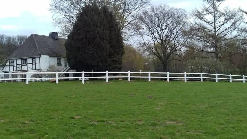 Ferienhaus für 6 Personen, mit Garten in Malente - 3