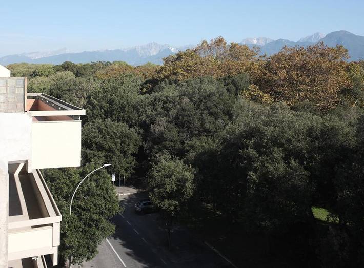 Chambre d’hôte pour 3 personnes, avec terrasse et jardin, animaux acceptés à Viareggio - 3