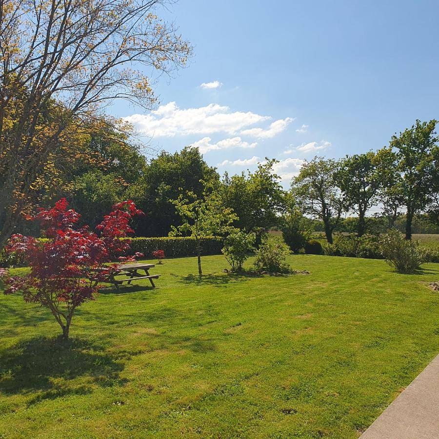 Les Nymphéas in Saint-Lyphard, Région de Saint-Nazaire