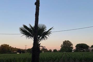 Gîte pour 8 personnes, avec jardin ainsi que terrasse et jacuzzi à Moulis-en-Médoc
