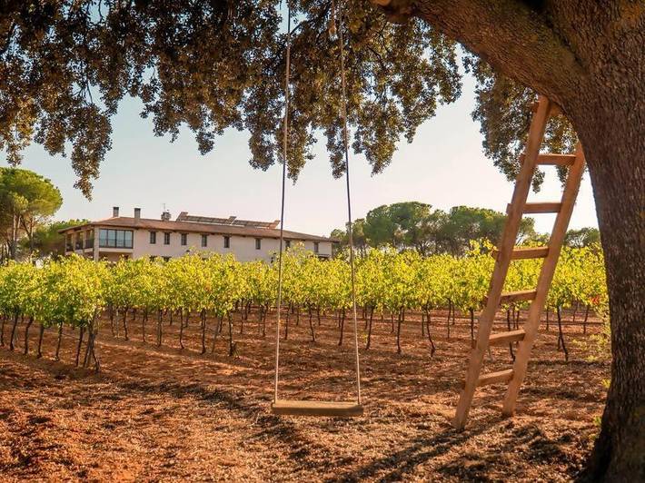 Casa rural para 25 personas, con balcón además de jardín y piscina, Se admiten mascotas en Provincia de Cuenca - 3