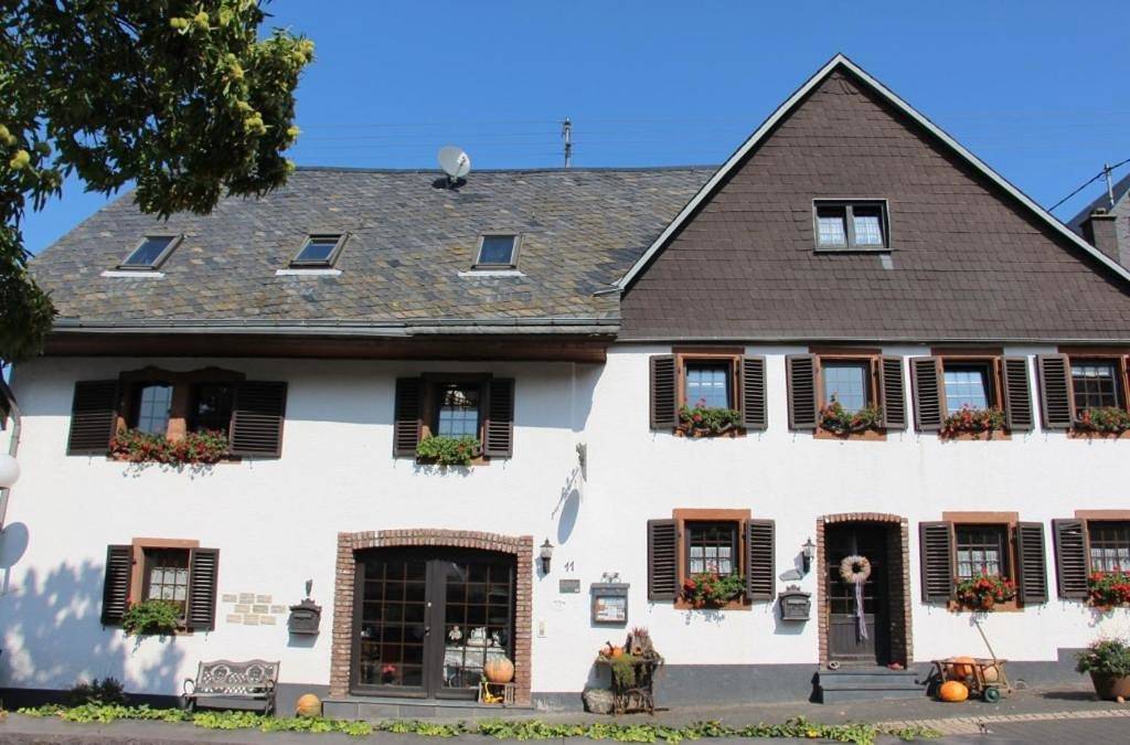 Ganze Wohnung, Two-Bedroom Apartment in Wintrich, Bernkastel-Kues & Umgebung