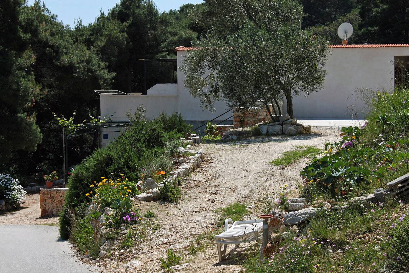 Ganze Wohnung, 1-Zimmer-Ferienwohnung mit Balkon Bucht Saplunara, Mljet A-4923-a in Velika Saplunara, Saplunara