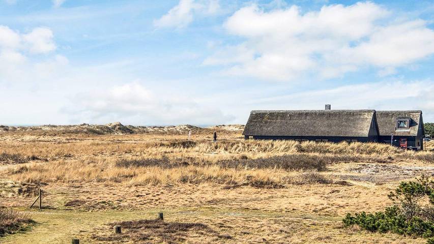 Ferienhaus mit Meerblick für 11 Personen, mit Sauna und Terrasse sowie Whirlpool in Blavand - 2