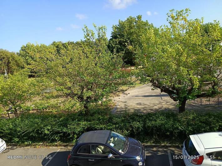 Chambre d’hôte pour 2 personnes, avec vue et jardin, adapté aux familles sur l' Île d'Oléron - 4