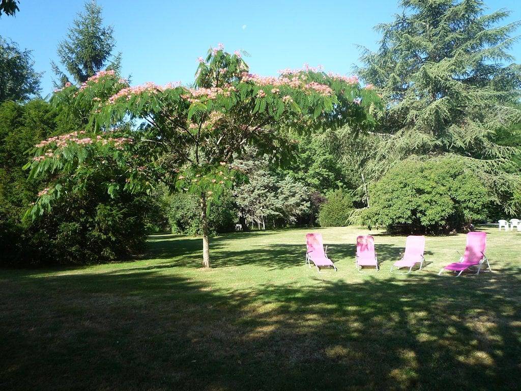 Domaine de Plaisance, gîte et chambres d'hôtes - Suite Azay le Rideau + chambre attenante in Druye, Région de Tours