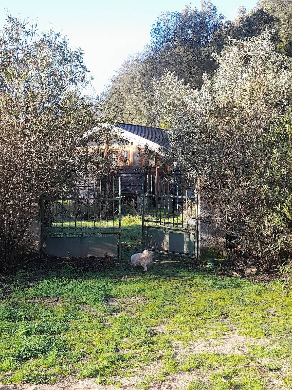 Chalet 'Dominique' avec vue sur montagne, terrasse privée et jardin privé in Azzana, Parc naturel régional de Corse