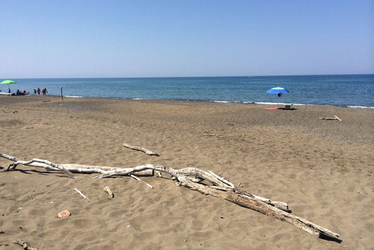 Ganze Wohnung, Casa Sophia, Pool mit Meerblick - Privater Garten, Grill und Parkplatz  in Guardistallo, Etruskische Küste