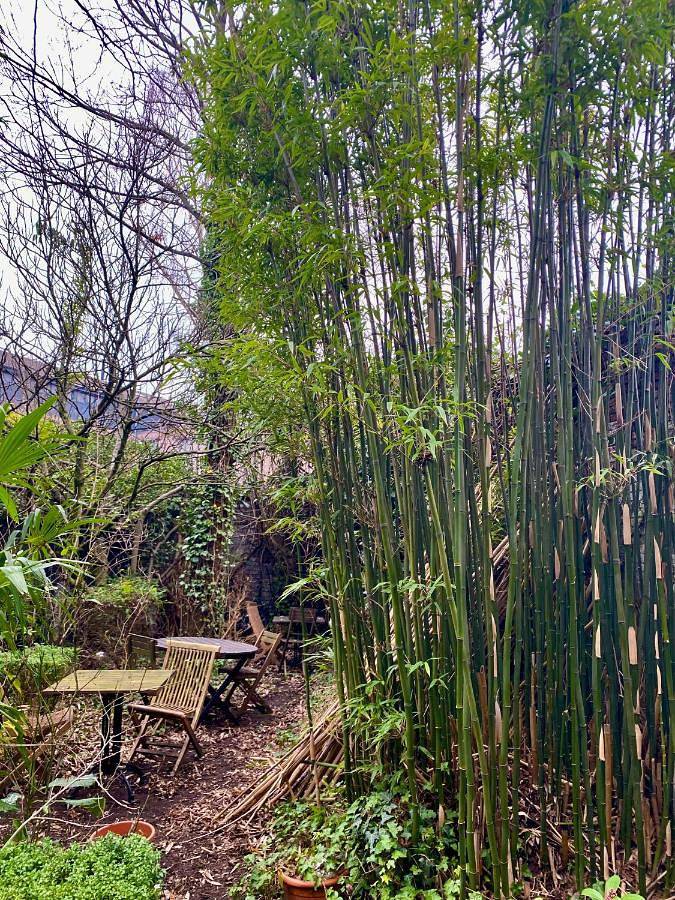 Chambre d’hôte pour 2 personnes, avec jardin à Gand - 2