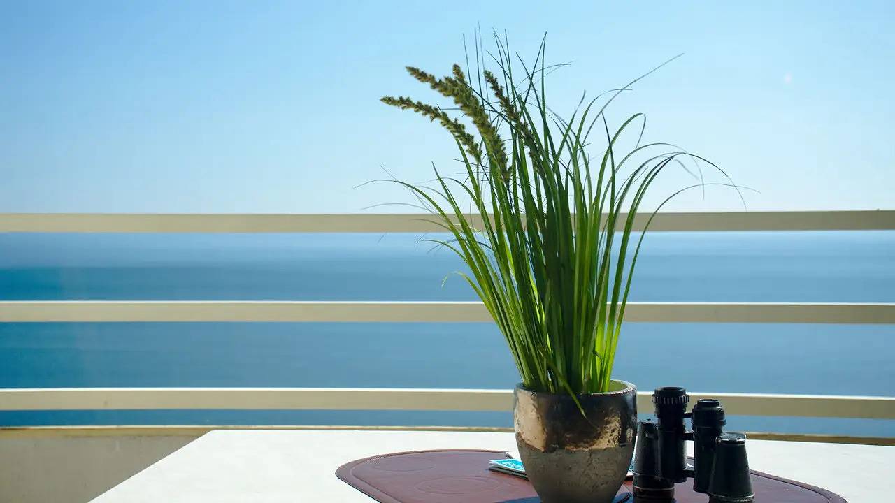 Appartamento vacanze a Sierksdorf a partire da 120€ a notte