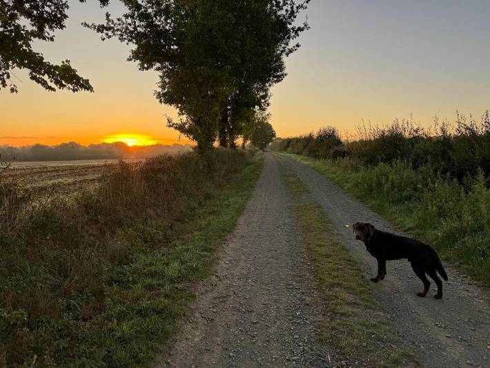 Location de vacances pour 4 personnes, avec jardin à Foussais-Payré - 4