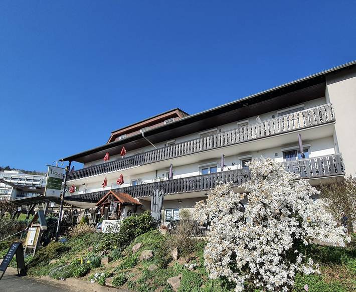 Pension, mit Balkon/Terrasse und Balkon sowie Terrasse und Garten in Bad Soden-Salmünster