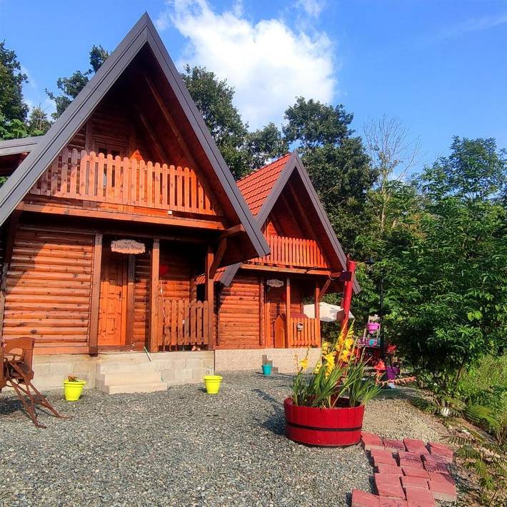 Location de vacances pour 5 personnes, avec vue et jardin, animaux acceptés à Kosjerić