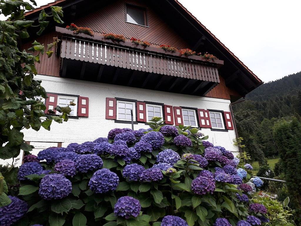 Chalet Halleckle in Oppenau, Renchtal