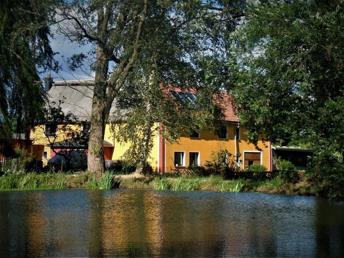 Ganze Wohnung, Ferienhof im grünen Herzen in Chursdorf, Dittersdorf