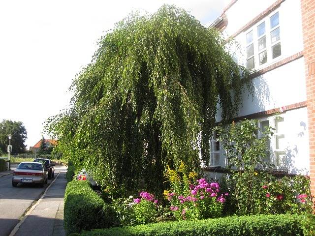 Apartamento de férias inteiro, Ferienwohnungen Friedrichsen - Ferienwohnung-1-Raum-Hebbelstraße - 01 in Husum, Mar do Norte de Schleswig-Holstein