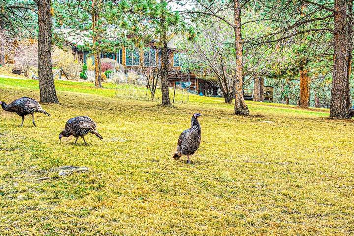 Vacation house for 12 people, with balcony and hot tub as well as sauna in South Dakota