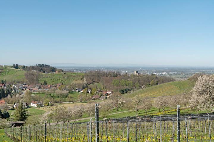 Ferienwohnung für 2 Personen, mit Garten in Mittlerer Schwarzwald - 2