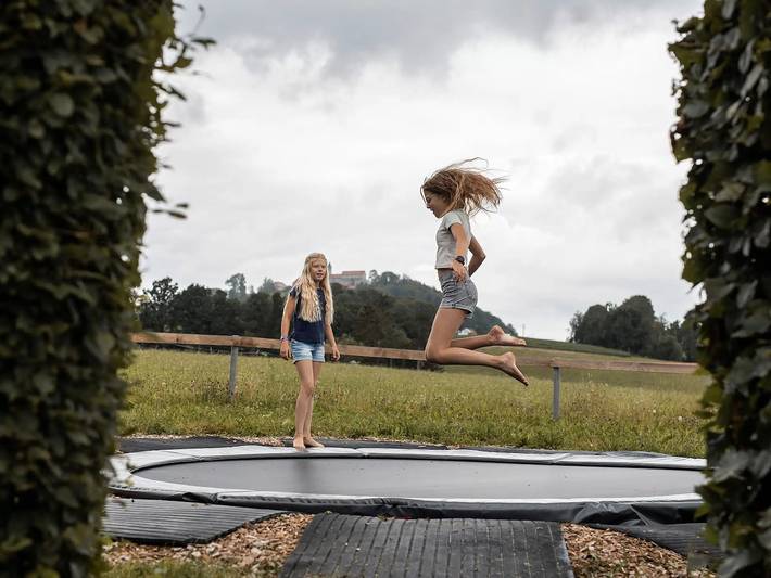 Bauernhof für 4 Personen, mit Sauna und Garten sowie Pool, kinderfreundlich im Bayerischer Wald - 2