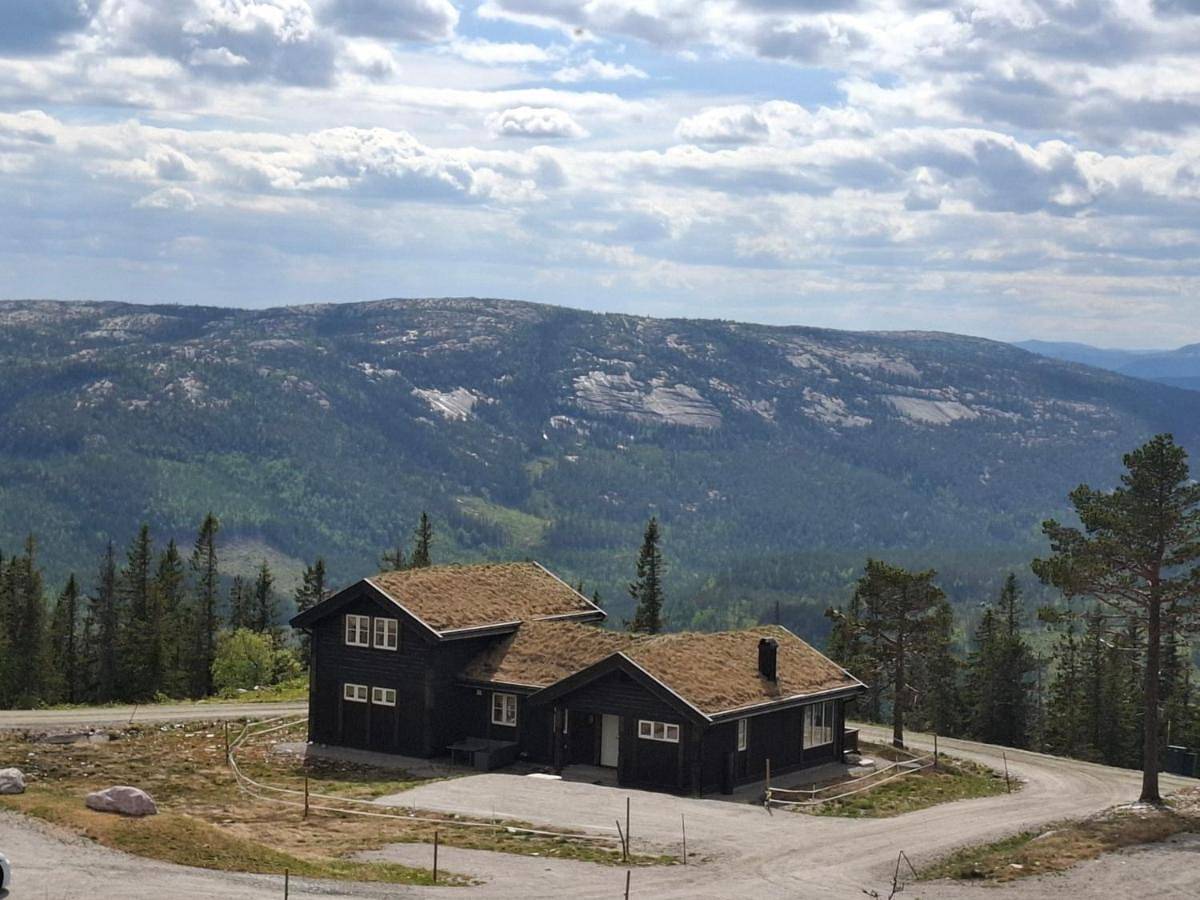 Grostul in Bø