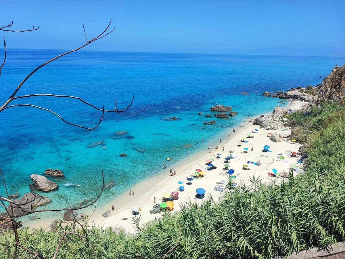 Glicine in Parghelia, Provincia di Vibo Valentia