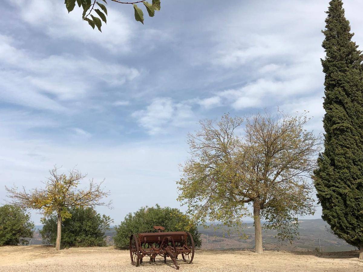 Finca San Andrés in Úbeda, Provincia de Jaén