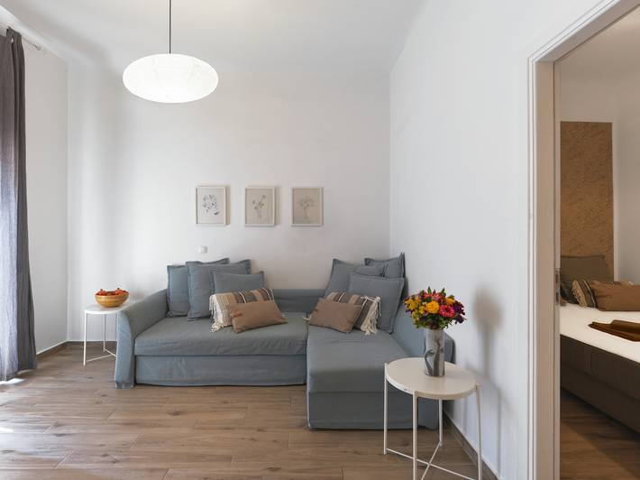 Appartement entier, 1L · Athenian 2bdr apartment with sunny in Section centrale d'Athènes, Athènes