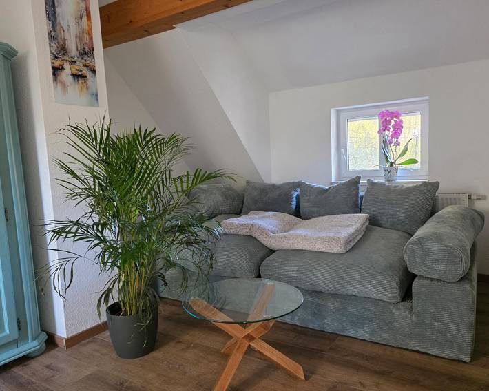 Ganze Ferienwohnung, Ferienwohnung Willowmina in Geising, Altenberg