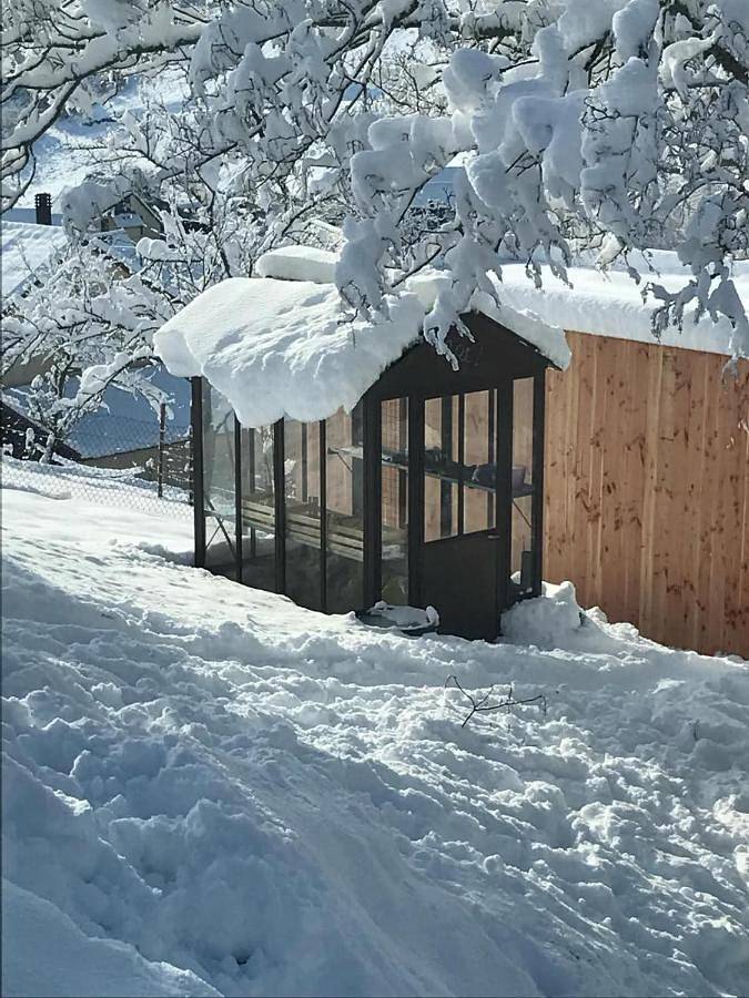 Appartement entier, Jacuzzi Piscine Nature Animaux in Maisonsgoutte, Région de Sélestat-Erstein