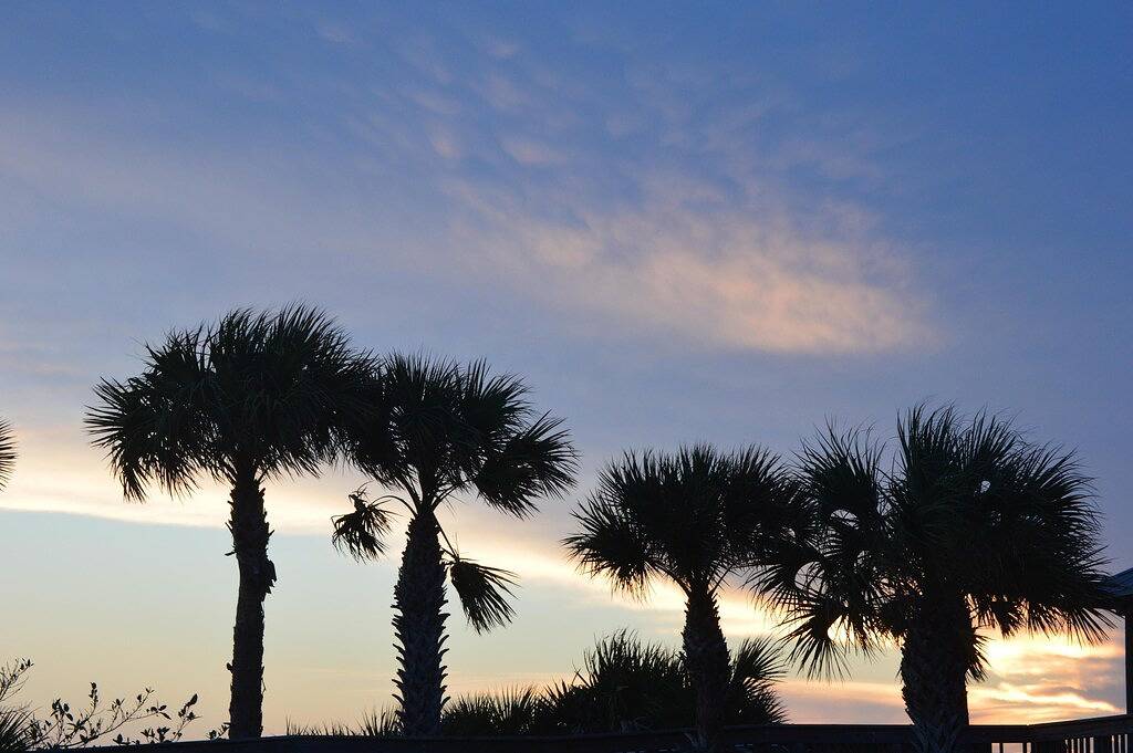 Large Beach Side Townhouse Condo with views of Gulf. Steps to the beach! in Englewood Beach, Manasota Key