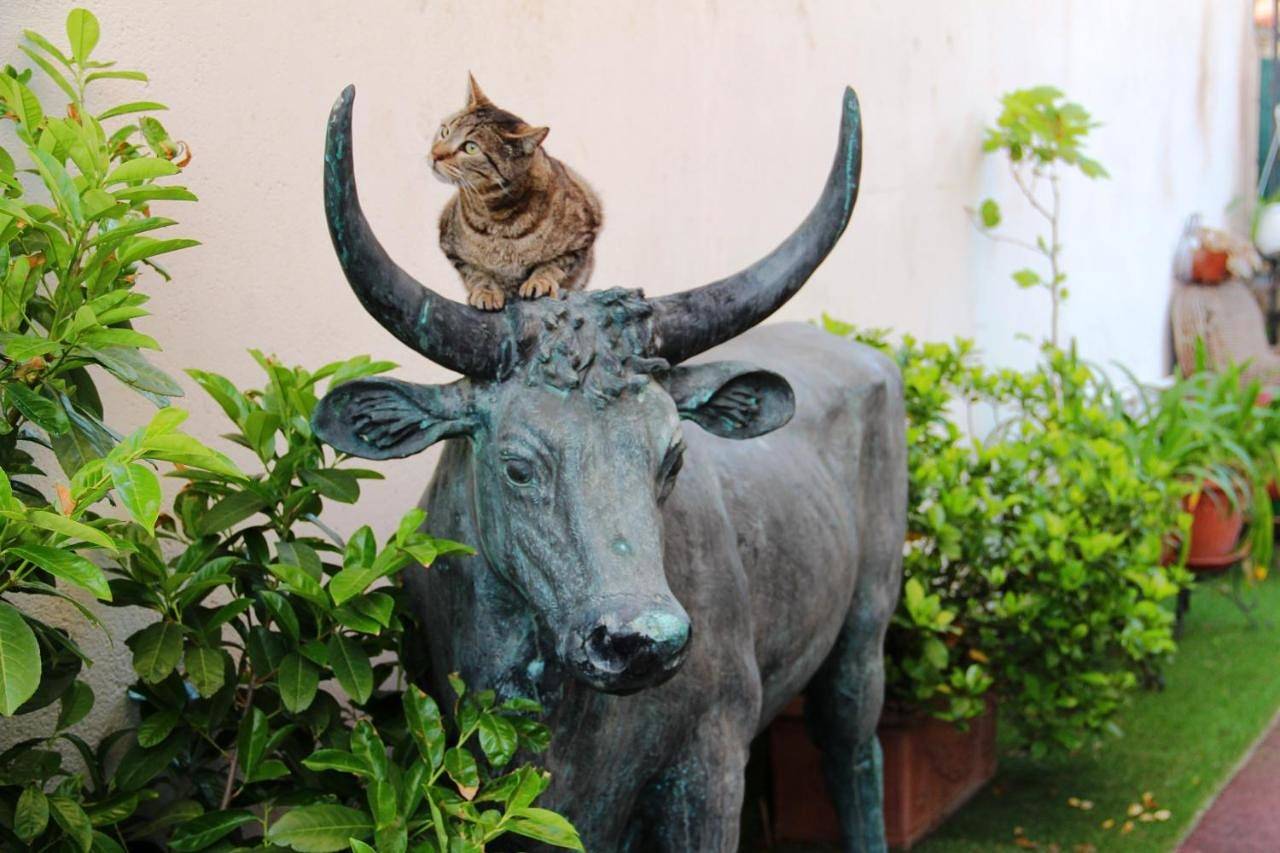 Villa Mon Rêve Apartements in Nice, Région de Nice